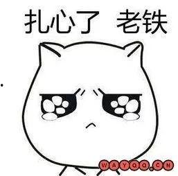 老铁稳住表情包,老铁稳住！表情包背后的网络文化现象解析