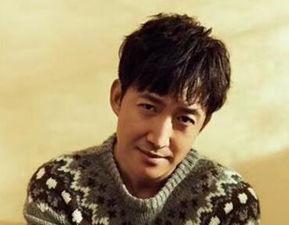 演员王阳个人资料,光影交织下的演艺人生